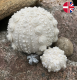 Broderikit: Søpindsvin hvid