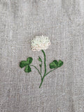 Broderikit: Flora Danica hørpose Hvidkløver/ Trifolium repens