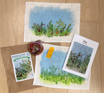 Embroidery kit: Flower meadow